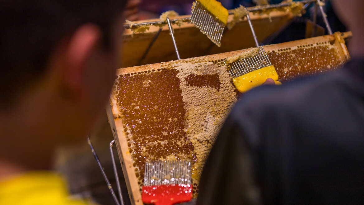 Act to Establish Federal Honey Standards