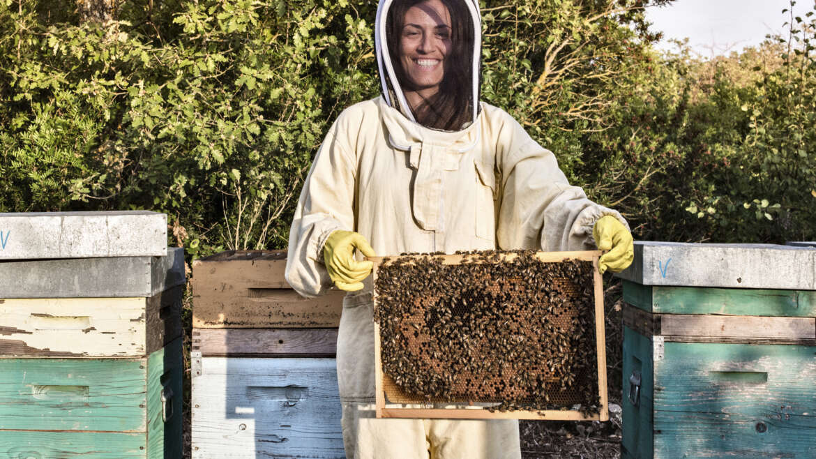 Healthy sugar origin in bee honey revealed