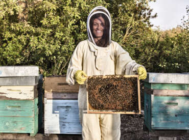 Healthy sugar origin in bee honey revealed