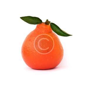 Tangerines