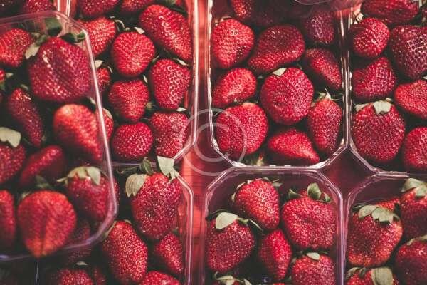 Strawberry - Imagen 2