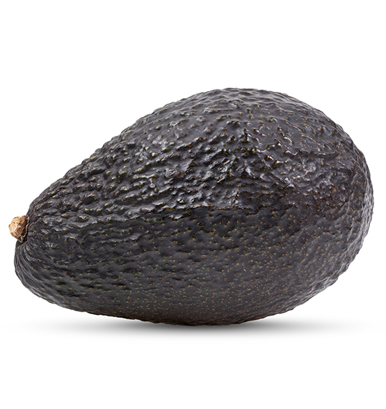 avocado isolated on white avocado isolated on white background