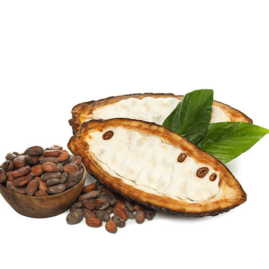 PNG, ingredient for making chocolate - cocoa, isolated on white background