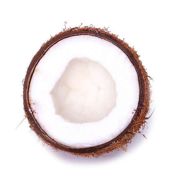 Coconut on a white background