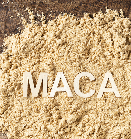 Dehydrated Maca powder, super food from South America, (lepidium meyenii)