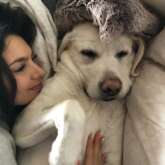 WhatsApp Image 2026-01-20 at 20.55.21